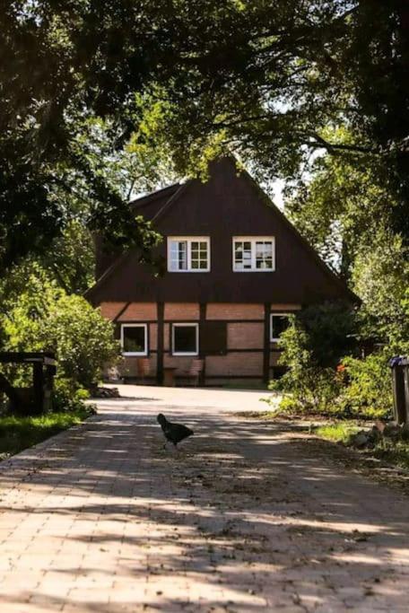Tinyhouse Zirkuswagen- Kotten Kunterbunt 诺图尔恩 外观 照片